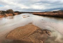 Farmers on Rio Grande in New Mexico face early water cutoff