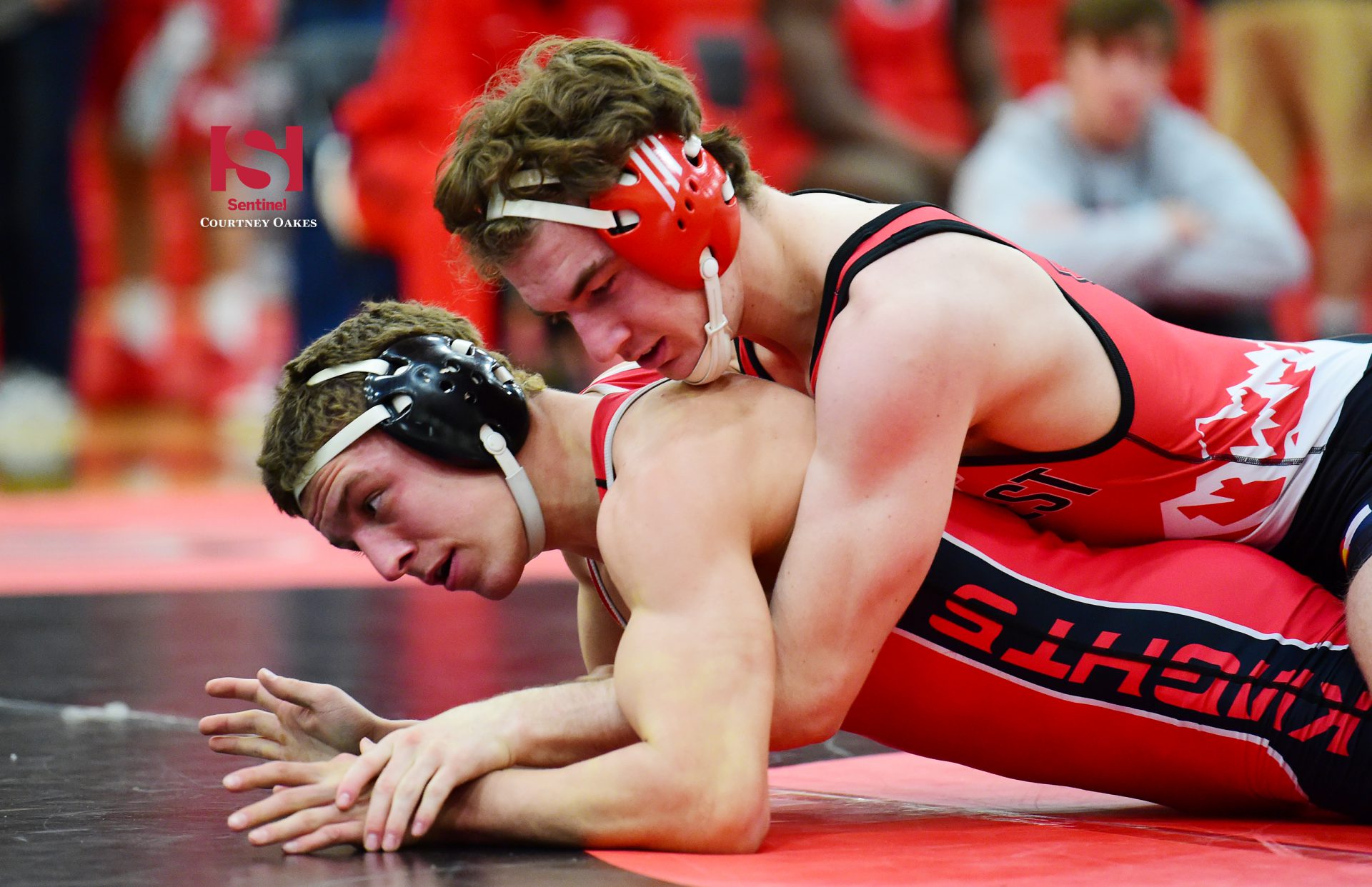 Wrestling: Aurora’s On The Mat Week 8 Class 5A, 4A rankings - Sentinel Wrestling: Aurora’s On The Mat Week 8 Class 5A, 4A rankings - Sentinel