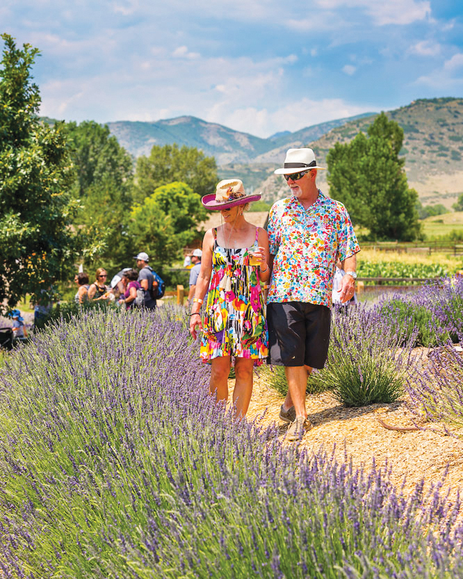 Lavender Festival set for July 20 Sentinel Colorado