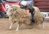 SENTINEL MUSE: Arapahoe County Fair gets ‘back in the saddle’ July 22-25