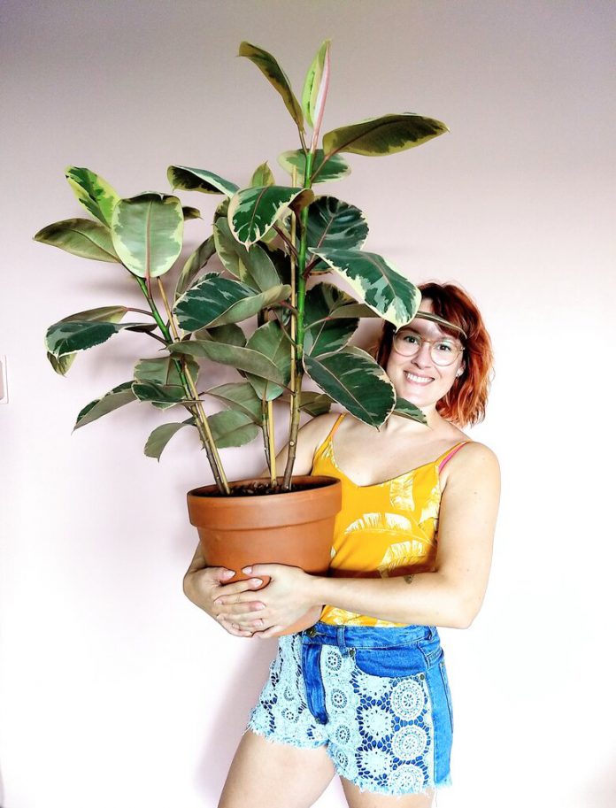 �Plant influencers� offer decor tips for fall houseplants