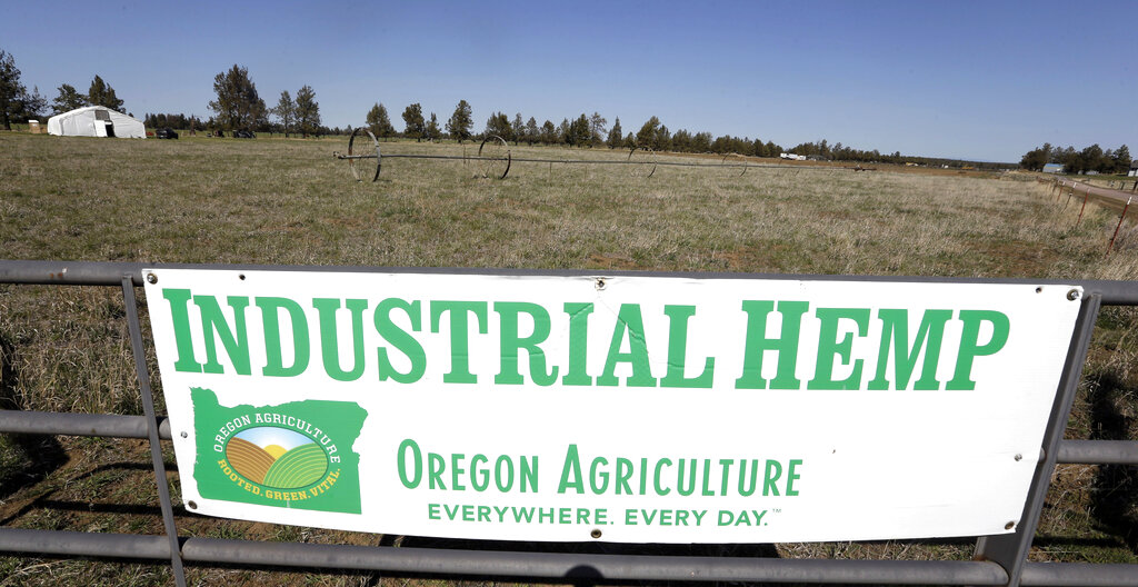 High Anxiety Proposed Us Hemp Rules Worry Industry Sentinel