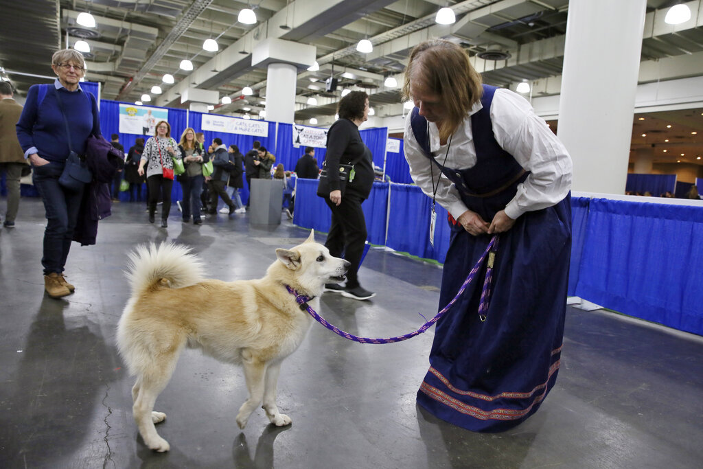 Skiën Modderig Actuator Westminster and work: Some show dogs serve, search or soothe - Sentinel  Colorado