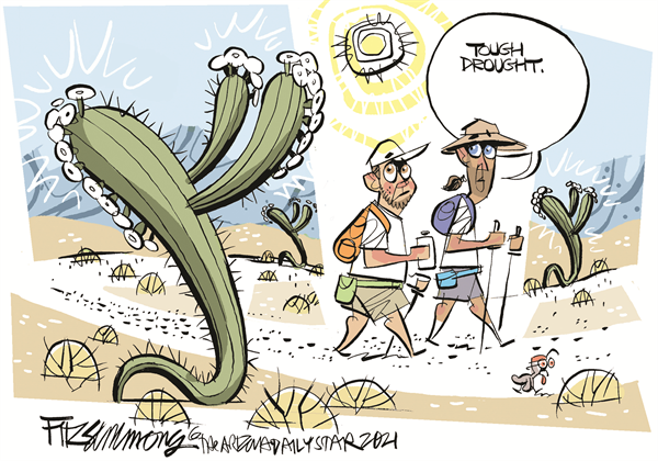 Toon in Tuesday - Sentinel Colorado