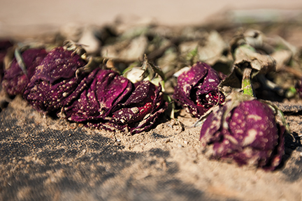 10 YEARS: A decade to absorb the unthinkable after the Aurora theater shooting — PHOTO SLIDE SHOW