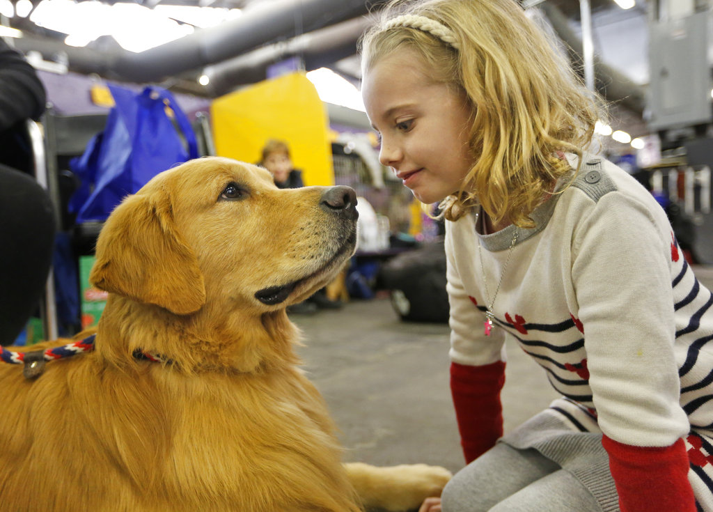 Westminster Show Dogs Have Some Unusual Food Faves